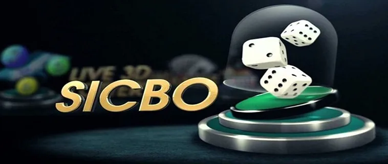 Hướng Dẫn Tham Gia SicBo Tại Nhà Cái 58WIN: Đánh Giá Chi Tiết Cho Người Mới